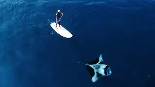 Deep Blue Discovery | Episode 10 | The Air