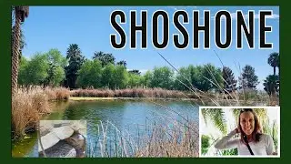 Secret SHOSHONE picnic spot & SPRING trail hike | RV Park & Desert Tortoise Sanctuary