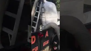 Bat Cleanup and Insulation Removal at a Church in Madison, Georgia