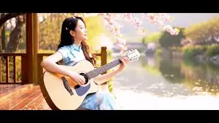 🌸 Cherry Blossoms Falling | Peaceful Riverside Guitar Melody 🎸