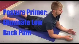 Eliminate Low Back Pain | Morning Posture Primer | Mobillity Training ft. Billy Edelen