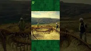 Titanoboa vs. Anaconda  #shorts #tamil #tamilvoiceover #twinfacts