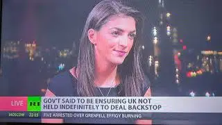 Professor John Ryan Brexit Backstop bother