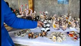 Artesanía en Conchitas