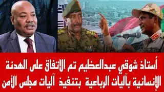 استاذ شوقي عبدالعظيم تم الاتفاق على الهدنة الإنسانية بآليات الرباعية  بتنفيذ  آليات مجلس الأمن 