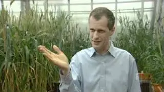 The Future of Food