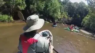 20150815 Lower Autauga Creek / Alabama River Paddle