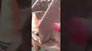 real life Maader (re-upload