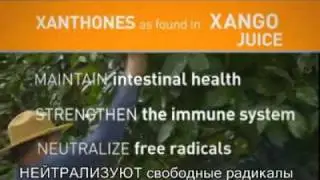 XanGo в Украине.mp4