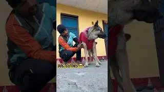 winter warm dog clothes for large dogs || German shepherd #dogtraining #animallover