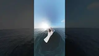 Dolphins cruise in Maldives