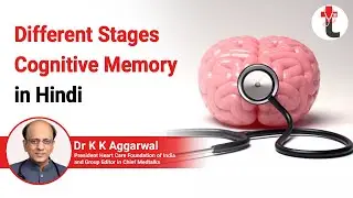 Different stages cognitive memory in Hindi || Memory Loss Explain in Hindi || memory types in Hindi