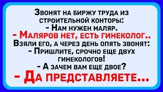 Как Врач Проводил Эксперимент Над..! Сборник Лучших Анекдотов Для Супер Настроения!