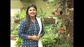 छत पर बागवानी | Chhat Par Bagwani (03-09-2016) (विशेषज्ञ: सलोनी मेहरोत्रा)