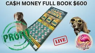 Cash Money Florida Lottery Scratch Off FULL BOOK! $600 Gamble!