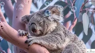 AI-Generated Animals: An Oddly Satisfying ASMR Experience