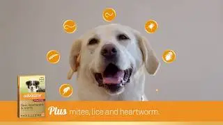 How Advocate protects your dog
