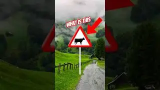 Meanings Of Road All Signs ☢️