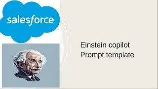 Einstein copilot Prompt template