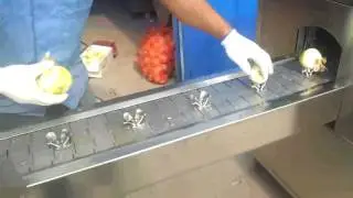 Onion peeling machine and Onion top and tail cutting machine
