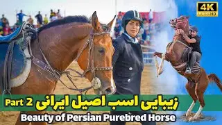 Walking tour: Beauty of Persian Horse 2024 - Part2 [4k] قسمت دوم، زیبایی اسب اصیل ایرانی، پاییز 1403