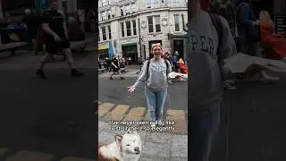 Street interactions with my Dog!! #husky #wales #model #dog #dogmodel #youtubeshorts #shorts