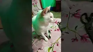 তুমি কি লেখাপড়া জানো 😁😃#youtube #comedy #trending #funny