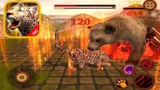 Leopard Survival Life Simulator: Animal of Prey (Part 2)- IOS Gameplay |Newbie Gaming