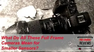 What Do All These Full Frame Cameras Mean for Smaller Sensors?