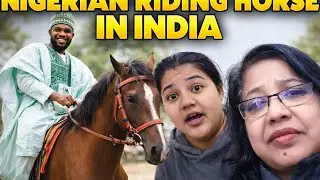 আর্জেন্ট  ভিডিও, আবার কালো চিঠি? এমন কি জানে? ভেড়াই মাতালে হাতাহাতি? টিনা দিল্লি এসে হতাশা ভুলেছে,