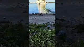 #река #велосипеды