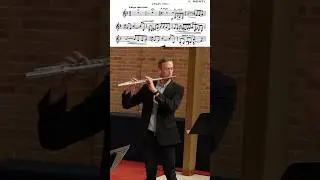 Calm before the storm&hellip; #flutesolo #flute #violin #epicperformance