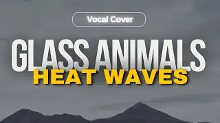 Heat waves cover song 2024 cover song | Glass Animal