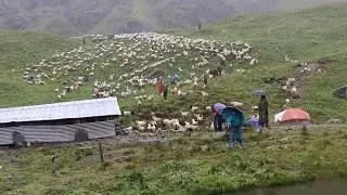 Bheda gotha