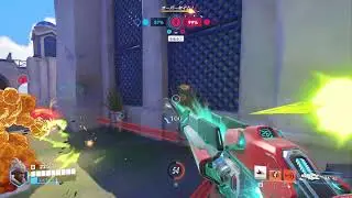 犬に飯を破壊された日【OW2参加型】