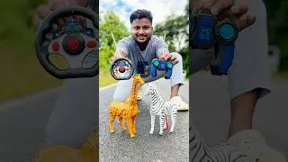 &ldquo;Remote Control Animal Race! 🦒🦓 Giraffe vs Zebra | Fun on the Road!&rdquo;