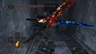 Dark Souls 2 The Lost Bastille Illusionary Wall item above mcduffs