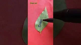 #shanali#shorts#ytshorts#viral#subscribe