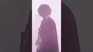 blackbird - KASHIWA Daisuke 【CAN Festival 2025】#shorts_video #music