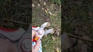 Тест секаторов наковальней Wolf Garten RS 5000/Wolf Garten RS EN/ Saboten