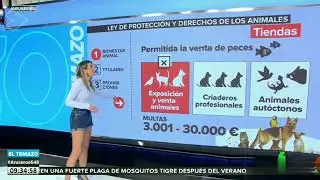 Alba Sánchez 3 días