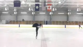 Aurore Michel Flying Camel