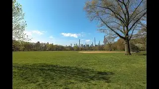 Weekly Walk: The Great Lawn