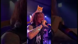 Rapper&rsquo;s Cat Joins In Mid-Bar?! 😳 Is This Real or AI?! 🐱🎤 #shorts #viral #music