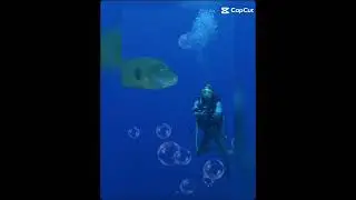 Palau island1
