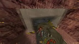 Forget About Freeman w/ SW за 37 секунд с мемом | WR / Steam