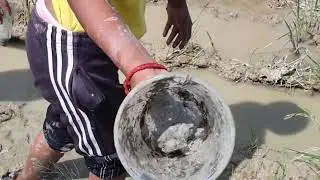 WOW! Two Braved Little Girl Find Earthworm for Fishing Without Scared It
