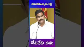 tdp devineni uma