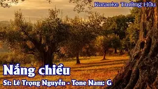 Karaoke Nắng Chiều - Tone Nam - Trường Hữu
