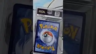 Pokemon Karten PSA bewertet #pokemon #pokemoncards #PSA #gsg